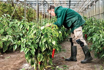 PROTECCIÓN AGRICULTURA